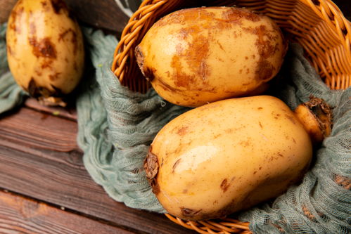 蓮藕 玉藕玲瓏，節(jié)日佳肴與苗木之美