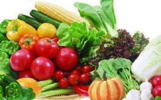 山西科普惠農特色優質農產品展銷會盛大開幕，花卉產業綻放異彩